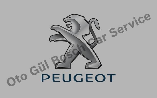 Afyon Peugeot Servisi